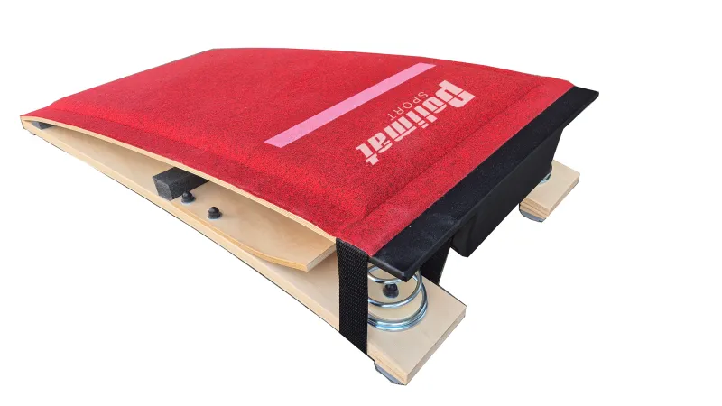 Odskocznia profesjonalna profi